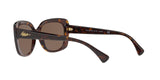 500373 - Shiny Dark Havana - Brown