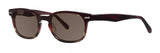 Original Penguin THE DOYLE SUN Sunglasses