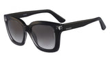 Valentino V699S Sunglasses