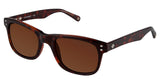 Sperry SPWAINSCOTT Sunglasses