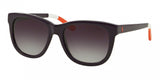 Polo 4105 Sunglasses