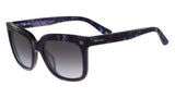 Etro 611S Sunglasses