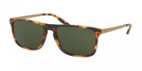 Polo 4119 Sunglasses