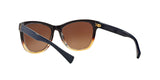 1444T5 - Brown - Brown Gradient Polarized
