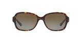 5507T5 - Dark Tortoise - Brown Gradient Polar