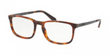 Polo 2202 Eyeglasses