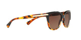 5438T5 - Havana - Brown Gradient Polar