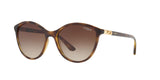 W65613 - Havana - Brown Gradient