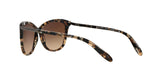 146213 - Brown - Dark Brown Gradient
