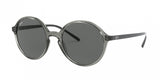 Ray Ban 4304 Sunglasses