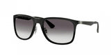 Ray Ban 4313 Sunglasses