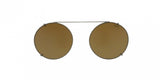 Polo 1169C Sunglasses