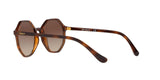 238613 - Brown Gradient