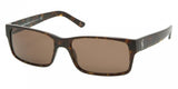 Polo 4049 Sunglasses