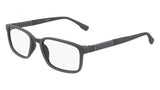 Flexon FLEXON E1115 Eyeglasses