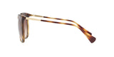500313 - Havana - Gradient Brown