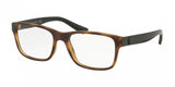 Polo 2195 Eyeglasses