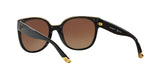 1312T5 - Black - Brown Gradient Polarized