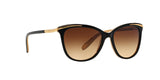 109013 - Black - Brown Gradient