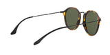 1157 - Havana - Green