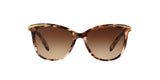 146313 - Havana - Dark Brown Gradient