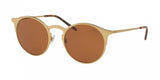 Polo 3113 Sunglasses