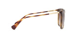 500313 - Havana - Gradient Brown