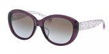 Coach L548 Asha 8106F Sunglasses