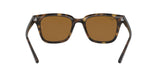 710/83 - Havana - Polar Brown