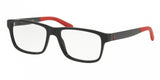 Polo 2181 Eyeglasses