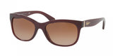 Ralph 5233 Sunglasses