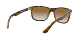710/51 - Havana - Crystal Brown Gradient