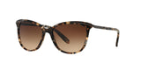 146213 - Brown - Dark Brown Gradient