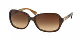 Coach Beatrice 8019 Sunglasses