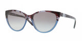 Donna Karan New York DKNY 4095 Sunglasses