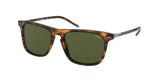Polo 4168 Sunglasses