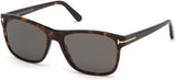 Tom Ford 0698 Sunglasses