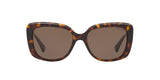 500373 - Shiny Dark Havana - Brown