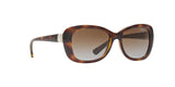 W656T5 - Havana - Polar Brown Gradient