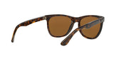 710/83 - Havana - Polar Brown