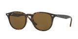 Ray Ban 4259 Sunglasses