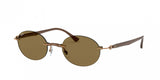 Ray Ban 8060 Sunglasses