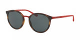 Polo 3104 Sunglasses