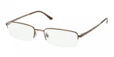 Polo 1116 Eyeglasses