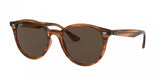 Ray Ban 4305 Sunglasses