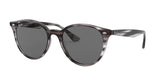 Ray Ban 4305F Sunglasses