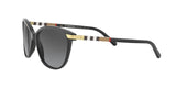 3001T3 - Black - Polar Grey Gradient