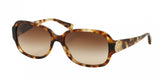 Coach 8015 Sunglasses