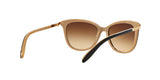 109013 - Black - Brown Gradient