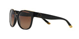 1312T5 - Black - Brown Gradient Polarized